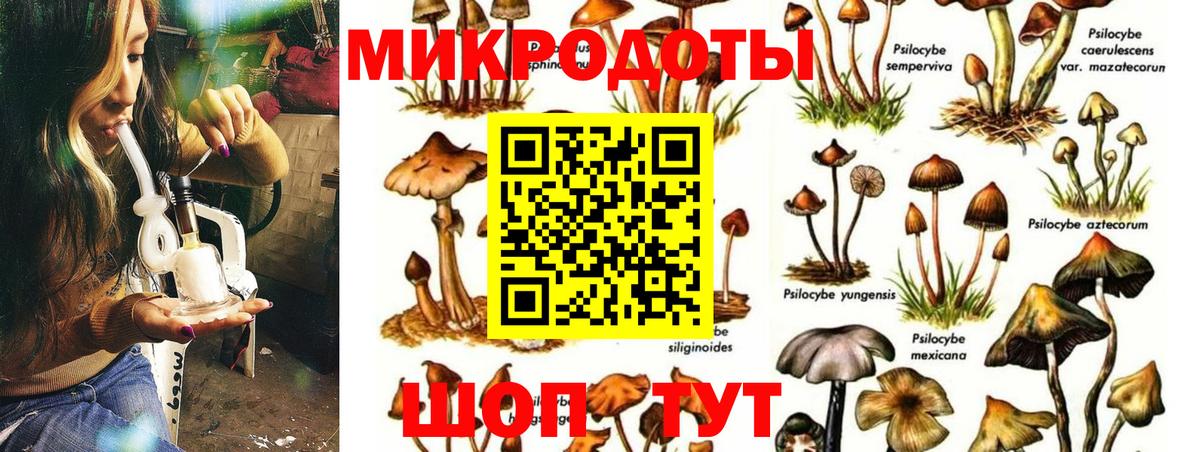 Керчь  Галлюциногенные грибы GOLDEN TEACHER  Вход с VPN 